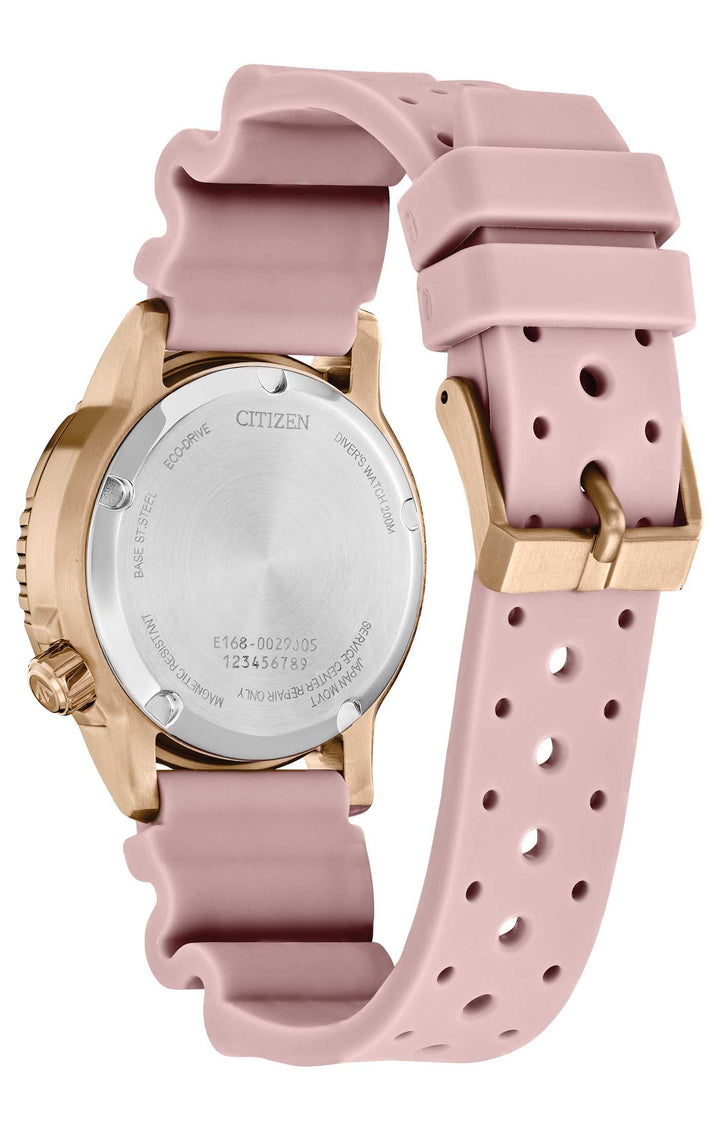 EO2023-00A Watch Technicians Store
