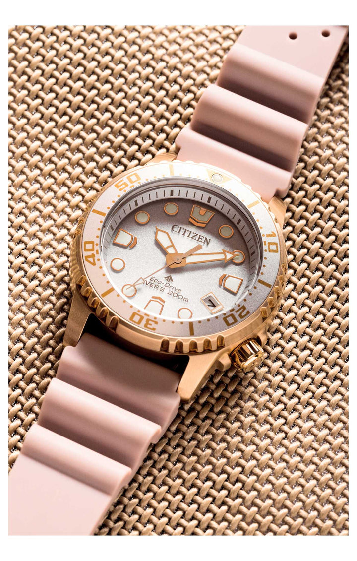 EO2023-00A Watch Technicians Store